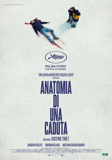 Anatomia di una caduta film da vedere 2023 palma d'oro cannes oscars 2024